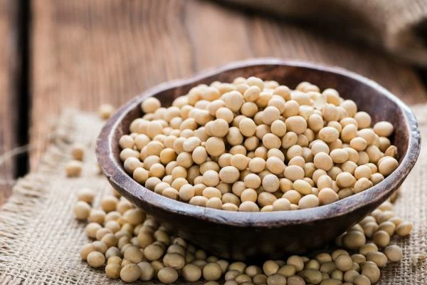 Soybean Production in the U.S. and Brazil to Expand Robustly Driven by Rising Demand from China